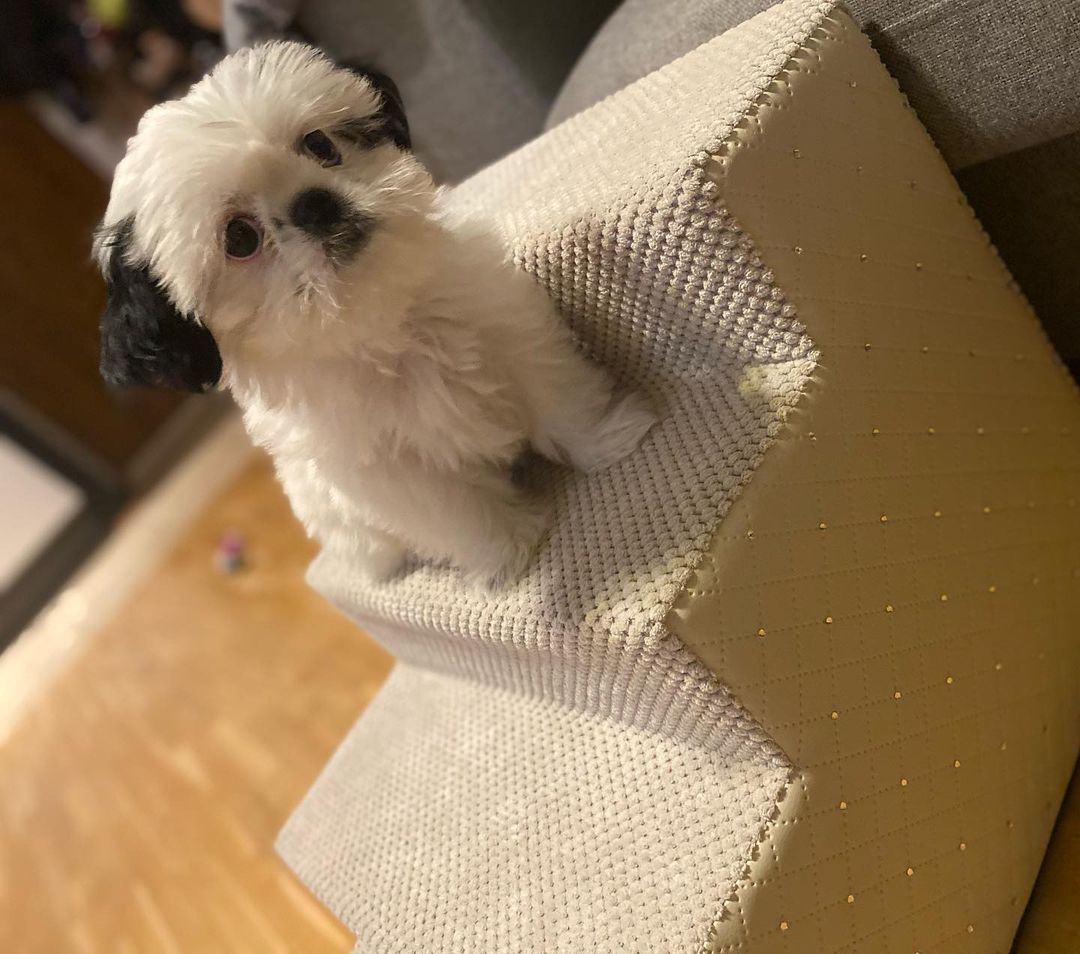 Coco