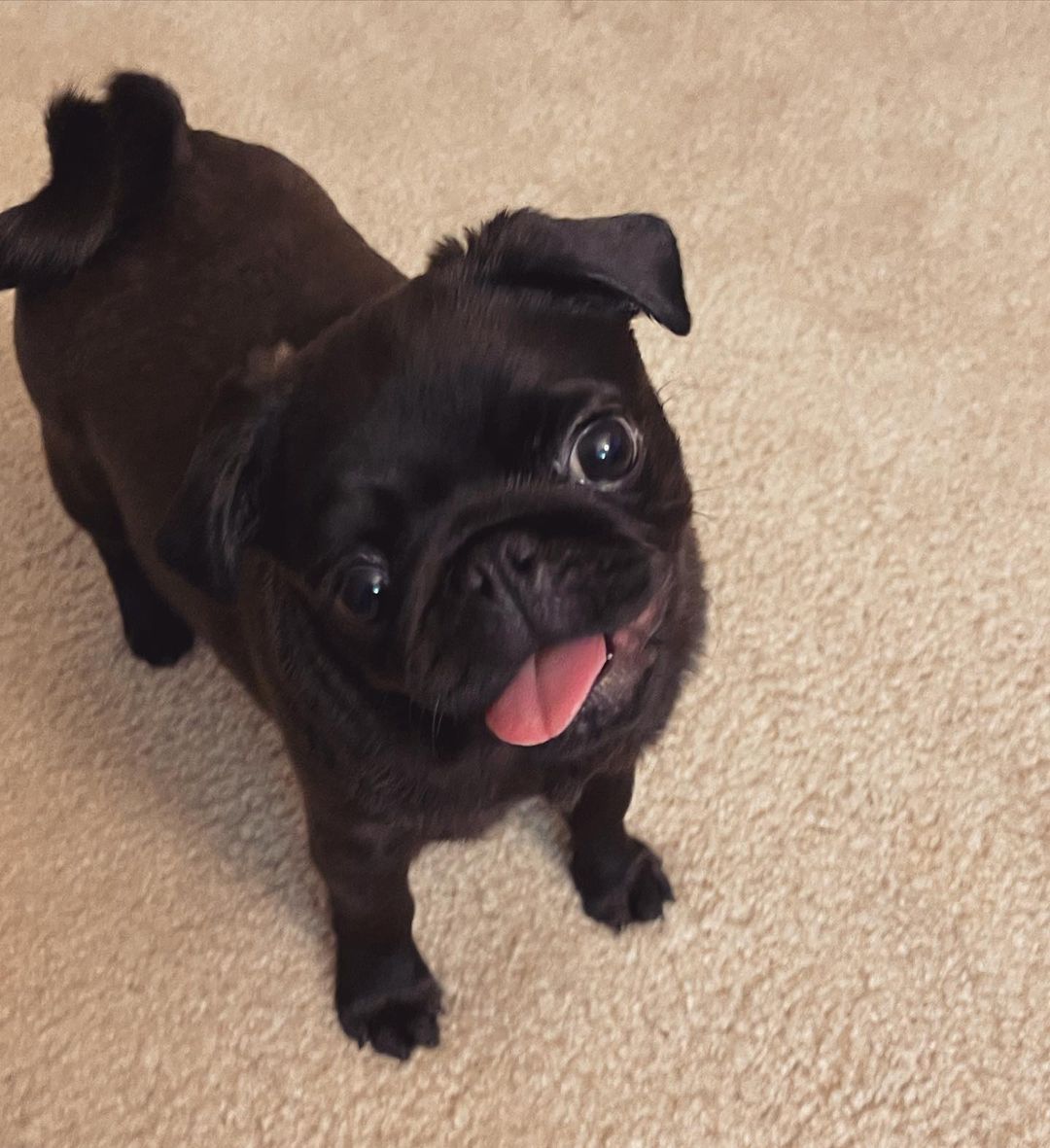 Coco