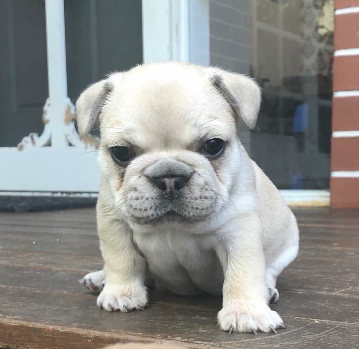 Maggie 