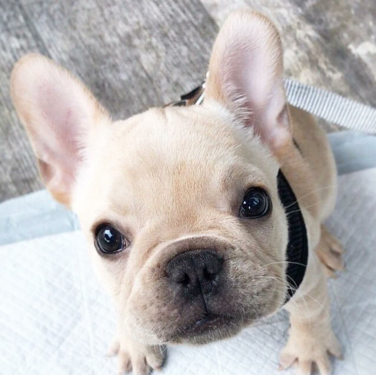 Benny